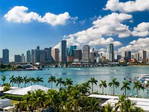 Майами горизонт
