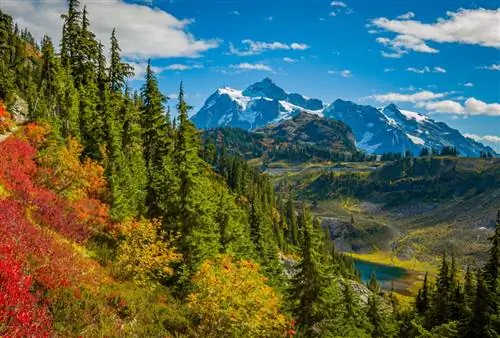 10 малоизвестных вещей, которые стоит сделать в штате Вашингтон