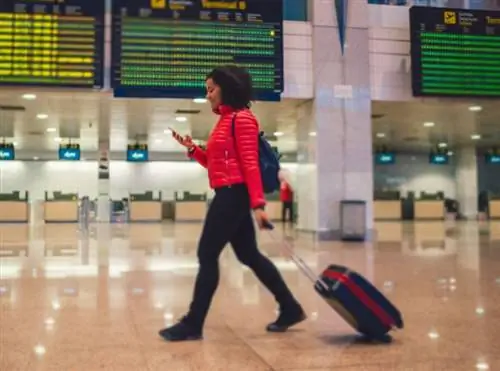 дорожный багаж в аэропорту