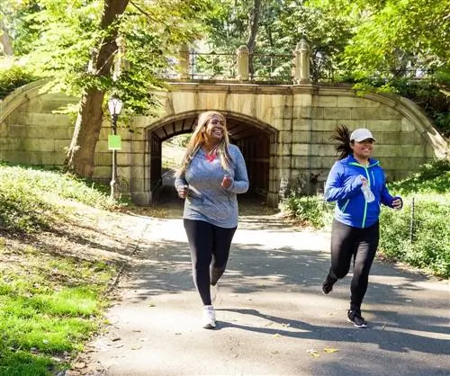 Джоггер в Центральном парке