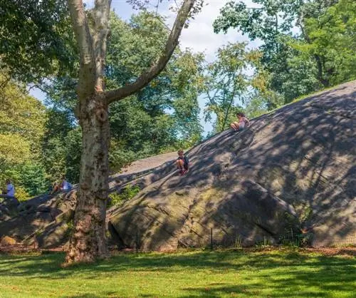 Центральный парк Судьи Рок