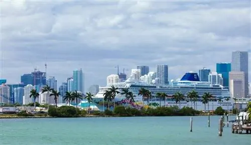 Carnival Cruises получила портовые соглашения, но Флорида грозит штрафами