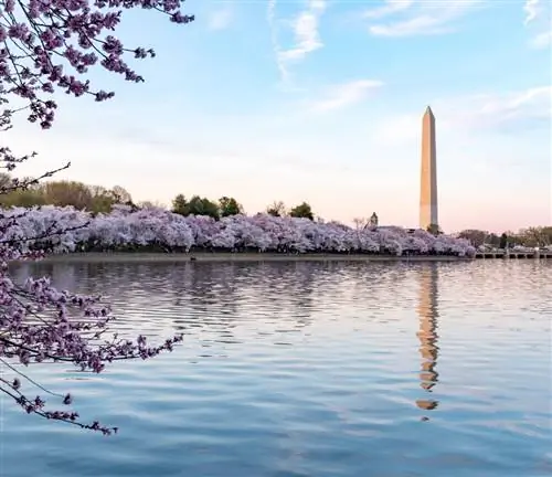 приливный бассейн Вашингтон