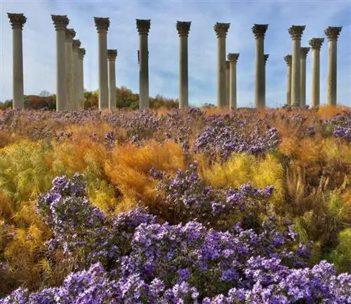 национальный дендрарий