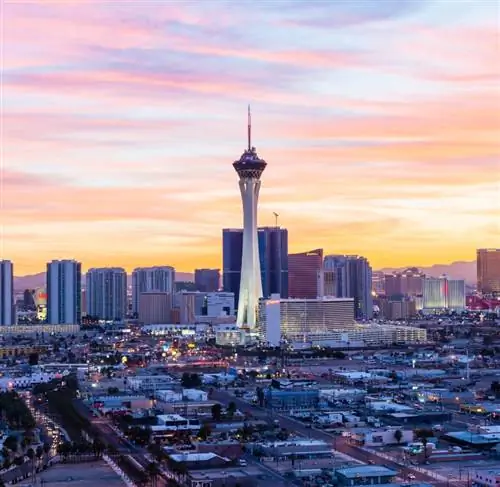 Храбрый крик X