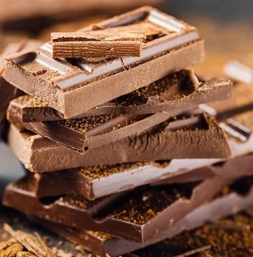 Загляните в шоколадный мир Hershey's