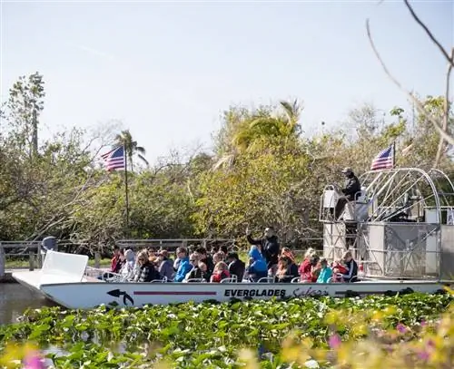 Сафари на воздушном судне по Эверглейдс