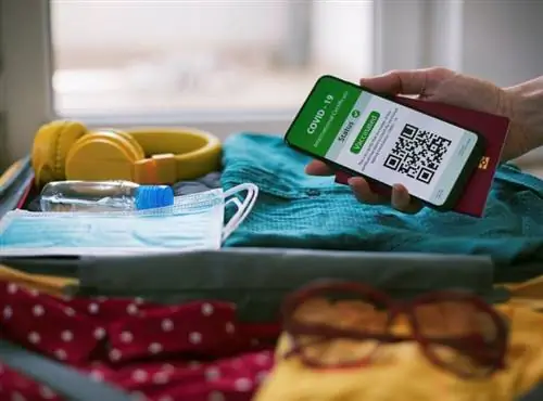 паспорт вакцины для полета