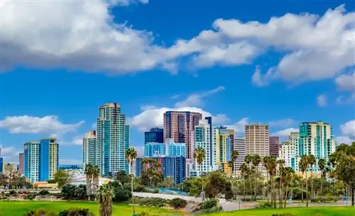 Чем заняться во время посещения Сан-Диего