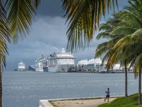 круизный лайнер Майами