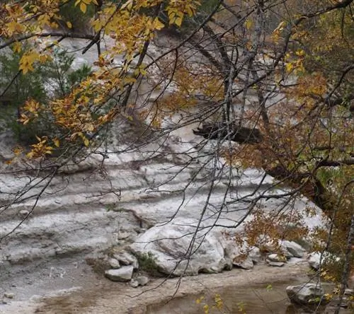 Кедровый хребет.