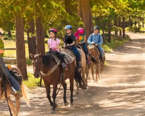 верховая езда