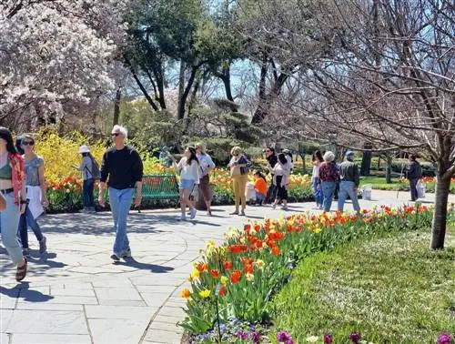 Далласский дендрарий и ботанический сад