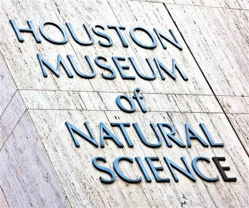 Хьюстонский музей
