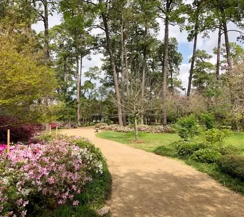 Герман Парк