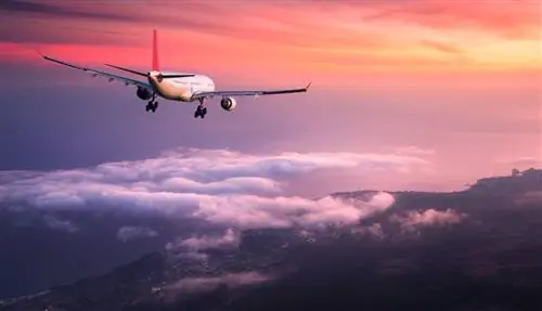 В пятницу в США зарегистрировано 2 миллиона пассажиров: уверенность в туризме возвращается