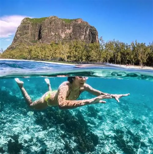 Подводное плавание на Маврикии