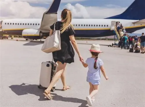 Самолет матери и дочери Ryanair
