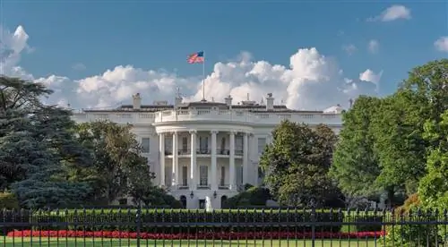 Давление на правительство США откроется для путешественников из ЕС