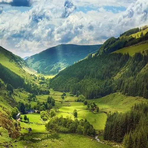 Ирландская зелень