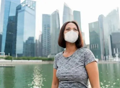 маска сингапурская женщина