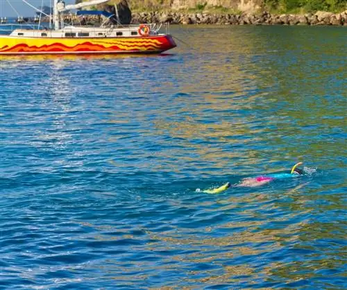 Сент-Люсия, подводное плавание