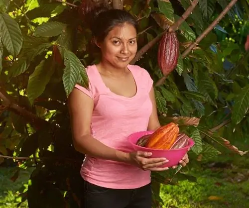 Вест-индийская кухня