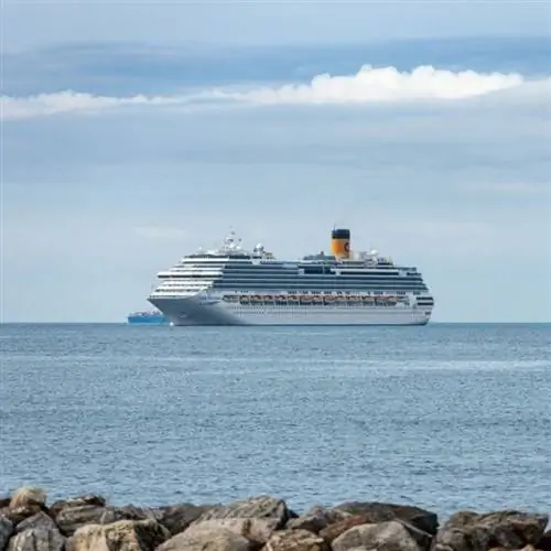 Расстояние круизного лайнера