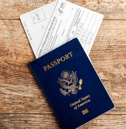 Карта вакцинации и паспорт США