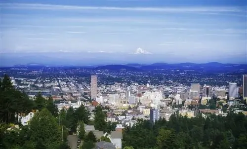 Основные причины посетить Портленд этим летом