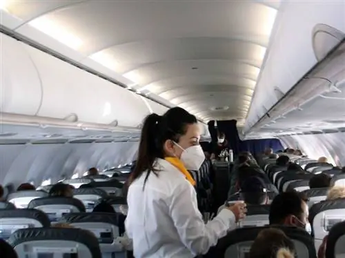 стюардесса в маске