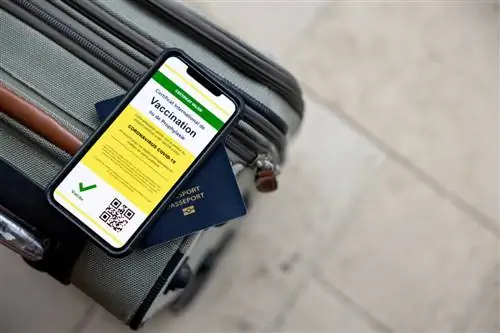 Канада объявляет о выпуске вакцинированного паспорта для международных поездок