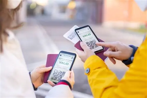 паспорта вакцин