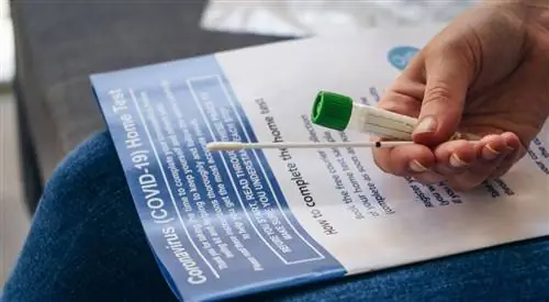 Великобритания снижает цену на обязательное тестирование после нескольких месяцев разногласий