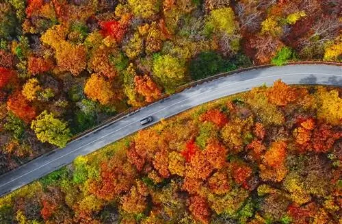 10 лучших приключений на свежем воздухе в США этой осенью