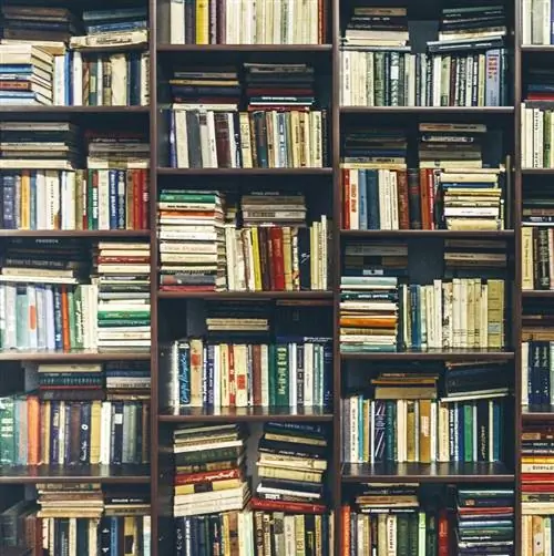 Последний книжный магазин