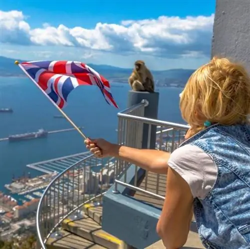 Гибралтарская обезьяна, британский путешественник