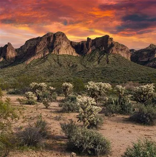 Природный мост Тонто