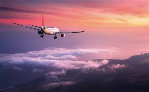 Стоимость авиабилетов в Европу упала до самых низких цен за пять лет