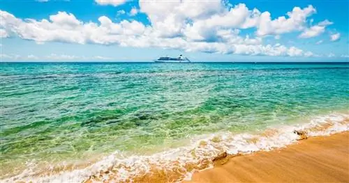 США выдает уровень 4 «Не путешествовать» для наиболее популярных круизных направлений