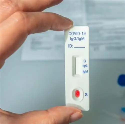 испытание на боковой поток