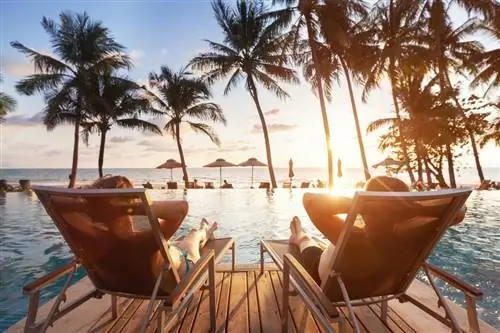 6 лучших пляжных клубов Лос-Кабоса, Мексика