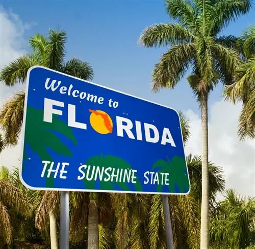 Приморский