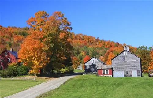 Топ-10 скрытых городов-драгоценностей, которые стоит посетить на восточном побережье