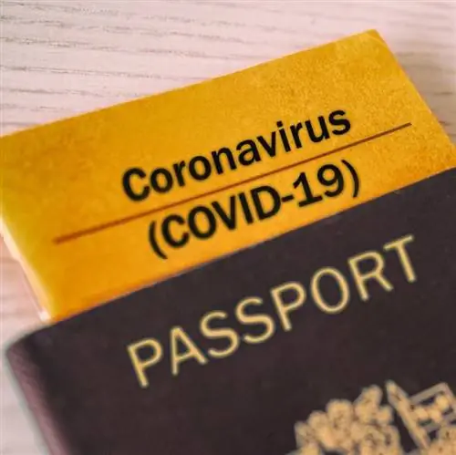 паспорт ковид