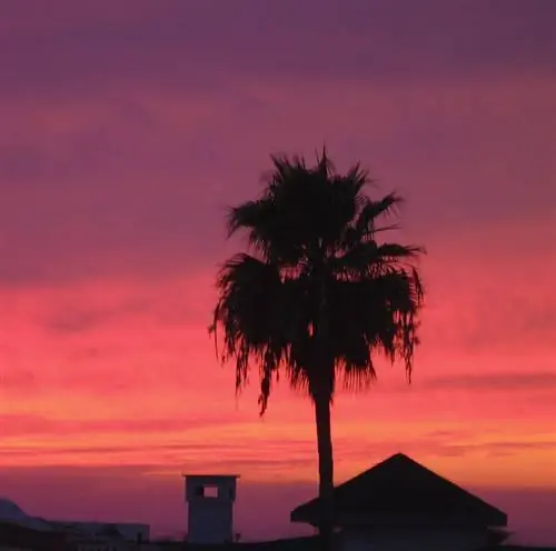 Посмотрите на пляж!