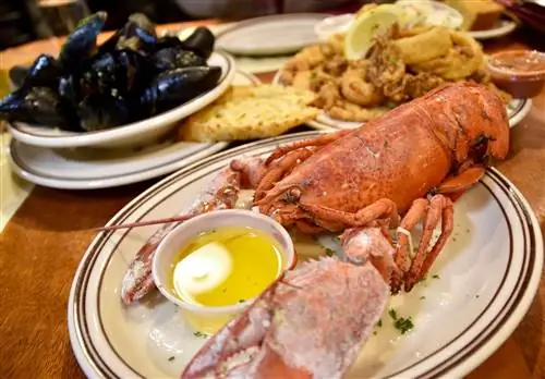 Путеводитель для гурманов для путешественников, посещающих Бостон