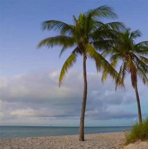 Сматерс Бич