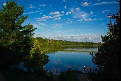 Что путешественникам нужно знать о новом паспорте вакцины Онтарио