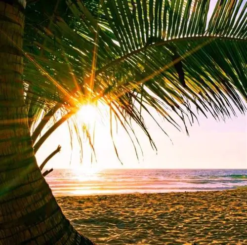 Пляж Таиланда